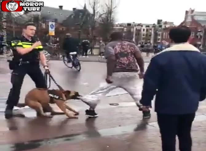 Video :After attempting to frighten away a police dog, a guy eats his leg